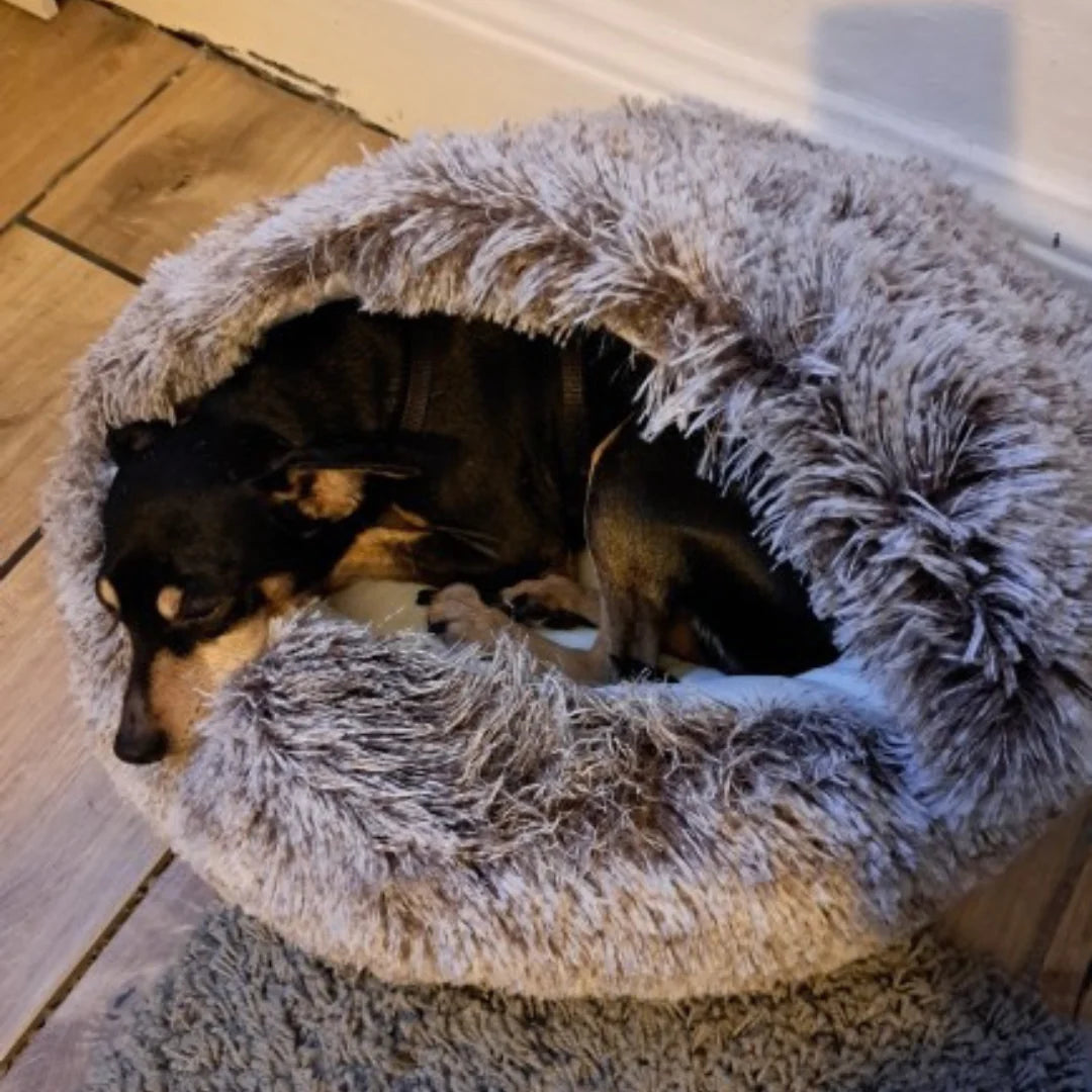 Ollie's Cozy Soft Nest Bed for Cats and Small Dogs